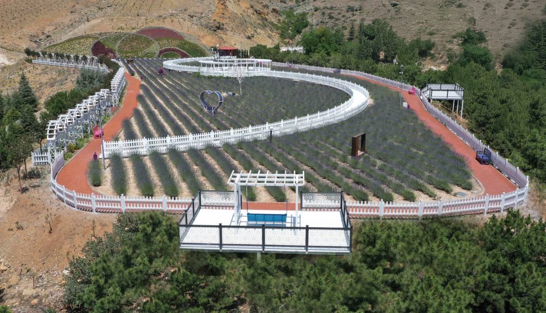 Renkleriyle büyülüyor, kokusuyla dinlendiriyor! Meram’da beklenen an geldi 1